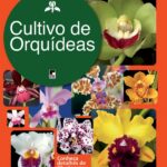 cultivo-de-orquideas-01